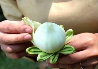 Spirit Garden Lotus Folding